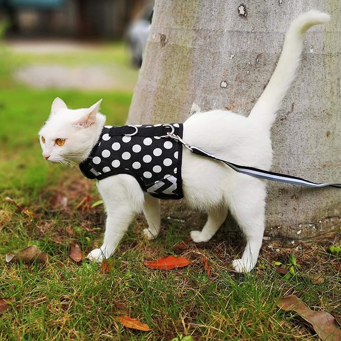 Cat Harness and Leash for Walking Escape Proof, Adjustable Cat Vest Harness, Padded Stylish Cat Walking Jackets, Polka Dot Black, Large
