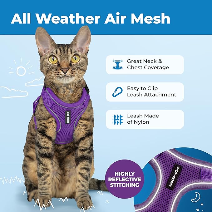 Voyager Escape-Proof Step-in Lock Cat Harness & 5ft Neoprene-Handle Leash Set All-Weather Mesh with Reflective Stitching for Small to Large Cats by Best Pet Supplies, Purple (327), M