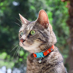 New Kittyrama Cat Collar with Bell. As Seen in Vogue. Breakaway, Quick Release, Hypoallergenic, Vet Approved. Lightweight Kitten Collar. Soft & Comfy. Saffron