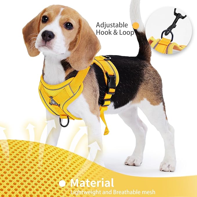 No Pull Dog Harness with Leash Set for Small Sized Dog, Reflective Adjustable No Choke Front Clip Cat Vest Harness with Breathable Mesh, Comfortable Soft Padded Pet Vest, Yellow S