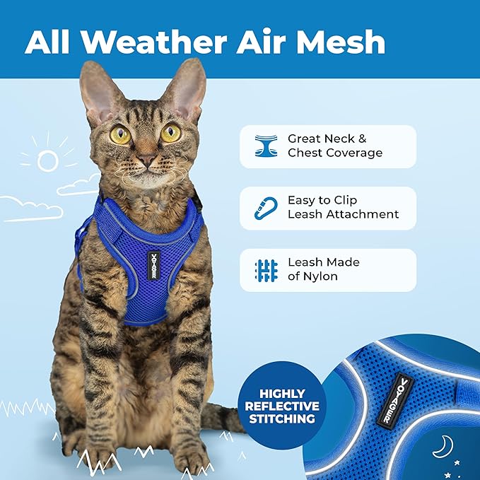 Voyager Escape-Proof Step-in Lock Cat Harness & 5ft Neoprene-Handle Leash Set All-Weather Mesh with Reflective Stitching for Small to Large Cats by Best Pet Supplies, Royal Blue (327), XXXS