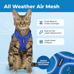 Voyager Escape-Proof Step-in Lock Cat Harness & 5ft Neoprene-Handle Leash Set All-Weather Mesh with Reflective Stitching for Small to Large Cats by Best Pet Supplies, Royal Blue (327), M