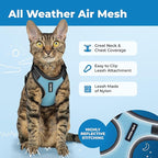 Voyager Escape-Proof Step-in Lock Cat Harness & 5ft Neoprene-Handle Leash Set All-Weather Mesh with Reflective Stitching for Small to Large Cats by Best Pet Supplies, Black Trim-Baby Blue (327), XXXS