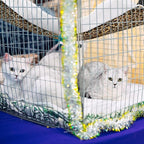 Jetec 2 Pack Cat Hammock for Cage, Catio Accessories Reversible Soft Cats Bed with Adjustable Straps and Hooks Double-Sided Linen and Fleece Hanging Hammock for Cats, Kitten(Leopard and Dot,S)