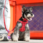 Beirui Cute Small Dog Harness Collar and Leash Set with Bowtie, Soft Adjustable Plaid Puppy Harness for Small Sized Dogs Cats Walks Parties and Photoshoots(Red,S:Chest 17-23")