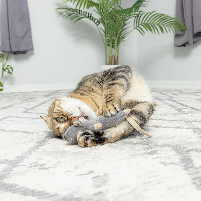 SPOT Flat Mouse Frankie with Catnip - Cat Toy, Fuzzy Mice with Catnip and Crinkle Sound, Perfect Size for Pouncing on, Chasing, Hunting - 5.5in Plush Toys, Assorted Colors