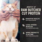 Vital Essentials Freeze Dried Cat Treats | Salmon Bites, Single Protein | Premium Quality | Grain Free, Crunchy Cat Treats, 1.1 oz Bag