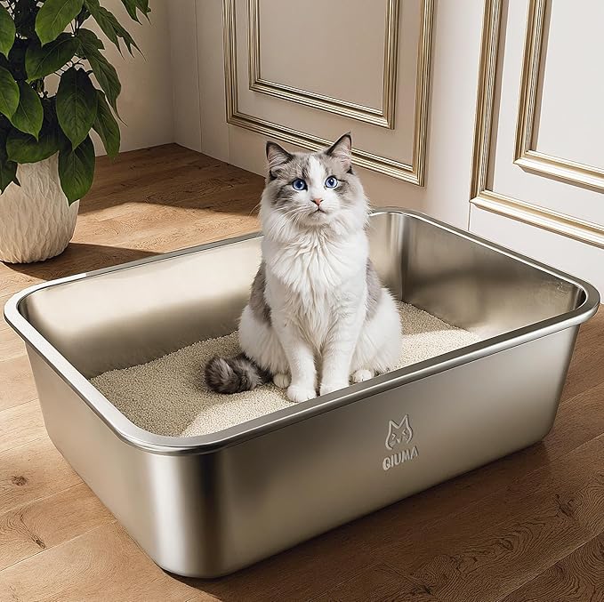Stainless Steel Litter Box, Metal Cat Litter Box with High Sides, Odor-Free, Non-Stick, Easy to Clean, 17.5"×13.6"×5.9", Ideal Size for Small to Medium Cats, Litter Tray