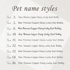 Anavia Slide On Silent Pet ID Tags, S/M/L/XL Personalized Black Stainless Steel Colored Silicone Cat Dog Name Tag, Customized Engraved Nameplate, Quiet Chew-Proof Pet Collar Tag (Pink, X-Large)