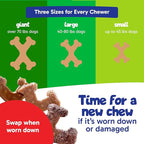 Chew’EMS X Bone Dog Chew Toy for Aggressive Chewers – Long-Lasting Beef Flavor Nylon Bone – Durable, Rawhide-Free Dental Toy - Large Size – Made in USA
