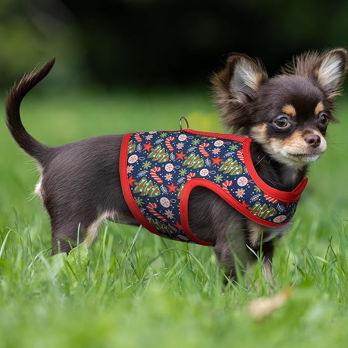 Mile High Life Velcro Dog Harness, Air Mesh Floral Vest Harness for 20 lbs Small Dogs & Cats, Easy Get on Adjustable Easy Closures Both Neck and Chest(Red Tree, XS Chest 14"-16")