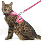 PUPTECK Cat Harness and Leash Set Escape Proof, Reflective Adjustable Soft Mesh Kitten Vest Harness for Walking Travel, Pink, S