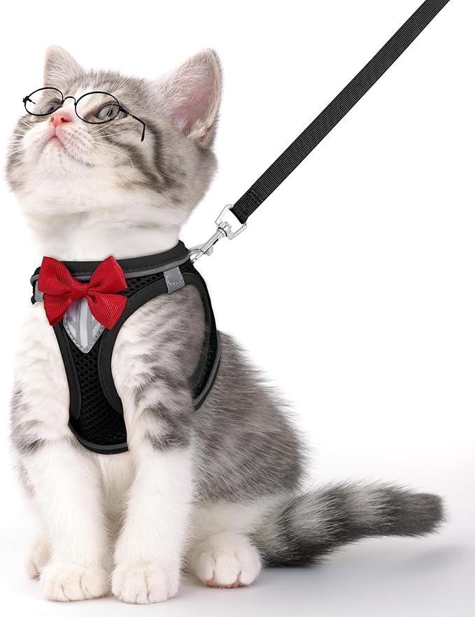 Cat Vest Harness and Leash Set for Walking Escape Proof, Adjustable Kitten Harness Breathable Mesh with Reflective Strips Harness for Kitty Puppy Bunny (Black,XS)