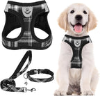 PUPTECK Adjustable Dog Harness Collar and Leash Set Step in No Pull Pet Harness for Small Medium Dogs Puppy and Cats Outdoor Walking Running, Soft Mesh Padded Reflective Vest Harnesses, Black XXS