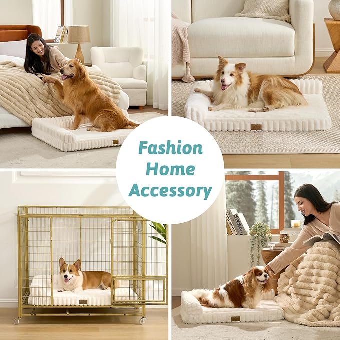 Cute Dog Bed, Faux Rabbit Fur Orthopedic Foam Dog Bed with Sides, Removable Washable Cover & Waterproof Lining, Comfortable Pet Couch for Medium Dogs, Cream (36" L x 27" W x 6.5" Th)