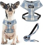 PUPTECK Soft Mesh Dog Harness and Leash Set Pet Puppy Cat Comfort Padded Vest No Pull Harnesses, Sky Blue, XS