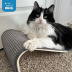 Best Pet Supplies Catify Cat Scratcher, Fun Interactive Scratchers, Posts, Poles, Claw Safe, Furniture Saver Indoor Play Support Natural Cat Behaviors Heavy Duty - Ramp (Gray)