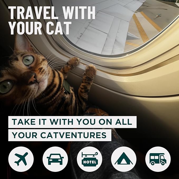 OutdoorBengal Travel Litter Box for Cats Small & Foldable - Non-Stick Portable Litter Box for Cat Traveling, No-Mess, Collapsible Litterbox (Essentials Traveling with Cats by Car, Plane, and Camping)