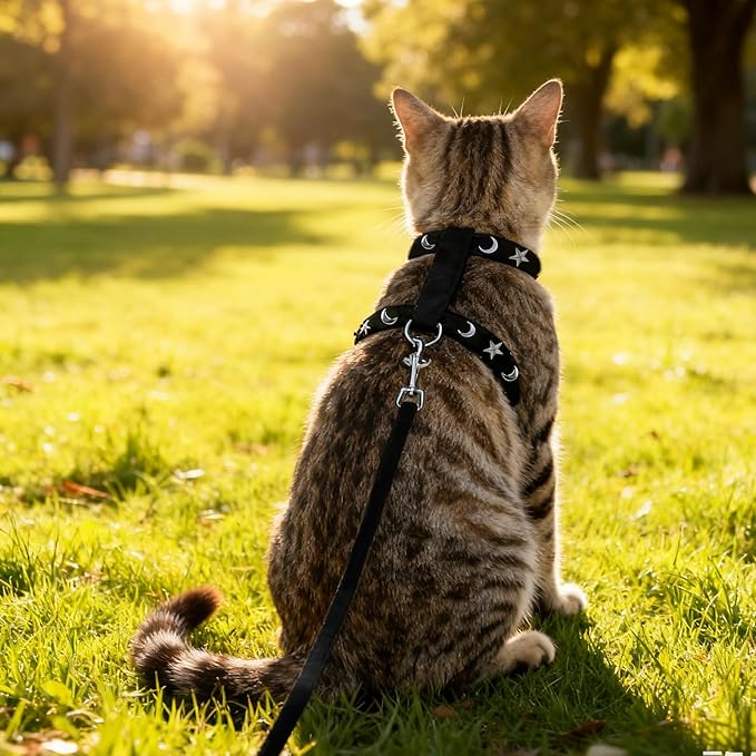 EXPAWLORER Cat Harness and Leash Set - Escape Proof Adjustable Cat Harness, H-shped Comfortable Soft Lightweight Kitten Harness for Outdoor Walking, for Small Medium Cats,Star-Moon M