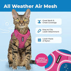 Voyager Escape-Proof Step-in Lock Cat Harness & 5ft Neoprene-Handle Leash Set All-Weather Mesh with Reflective Stitching for Small to Large Cats by Best Pet Supplies, Fuchsia (327), S