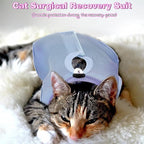 Nuanchu 3 Pieces Cat Recovery Suit Kitten Recovery Suit E-Collar Alternative for Cats and Dogs Abdominal Skin Anti Licking Pajama Clothes Sets (Medium,Solid Style,Purple Pink Blue)