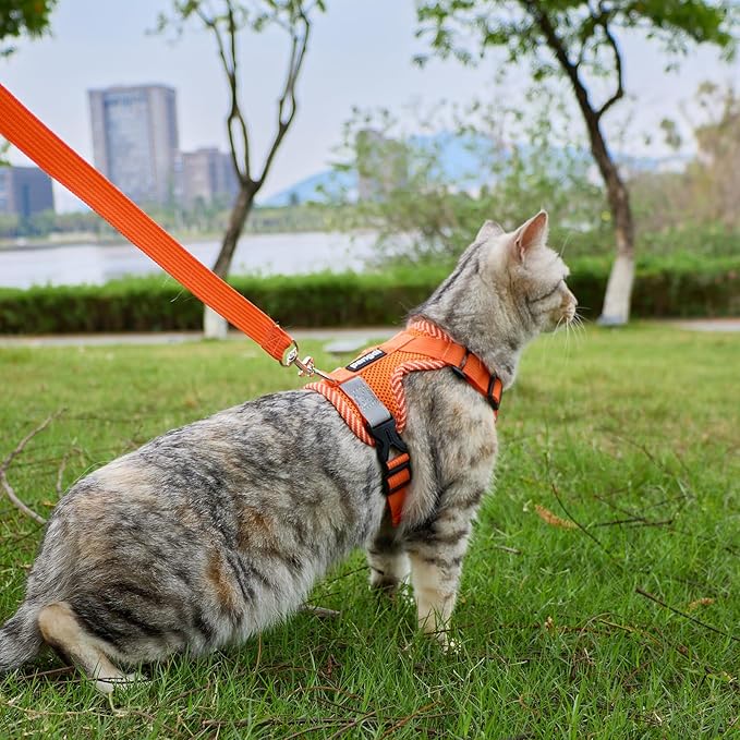 Cat Harness and Leash Escape Proof Medium Kitten Harness Bengal Cat Vest for Walking Travel, Orange, M