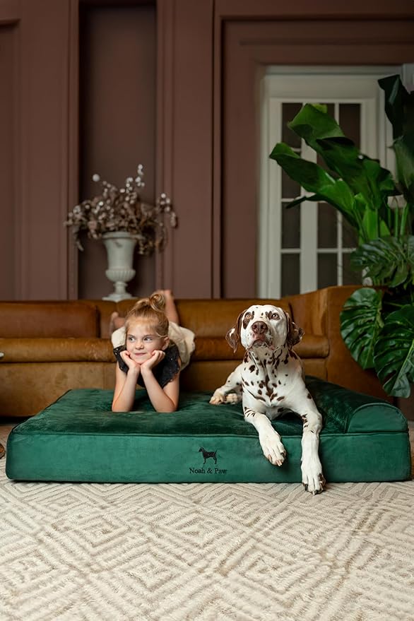 NOAH & PAW XL Dog Bed, 45x35x9.1 Inch, Orthopedic Large Dog Beds, Eggshell Memory Foam Infused with Cooling Gel, Waterproof, Machine Washable, Includes Inner Cover (Velvet Collection)