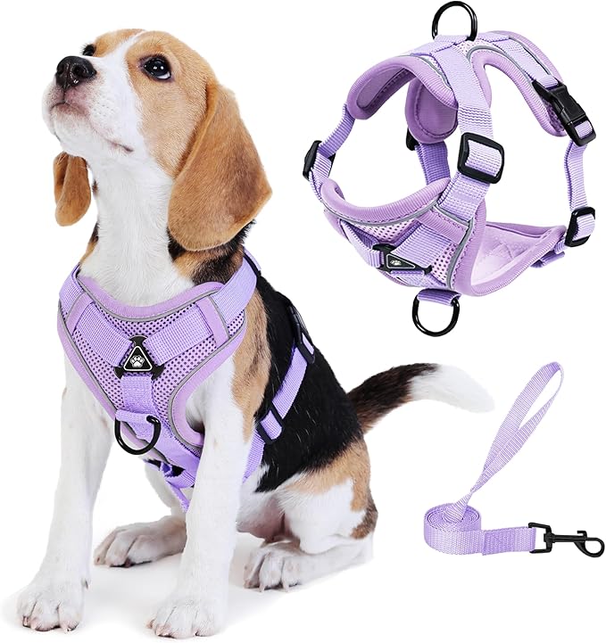 No Pull Dog Harness with Leash Set for Small Sized Dog, Reflective Adjustable No Choke Front Clip Cat Vest Harness with Breathable Mesh, Comfortable Soft Padded Pet Vest, Purple L