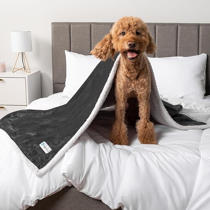 PetAmi Waterproof Dog Blanket for Medium Large Dog Puppy Cat Throw for Couch Cover Leakproof Protection, Sherpa Fleece, Reversible Soft Washable 60x40 Charcoal Gray