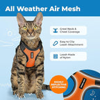 Voyager Escape-Proof Step-in Lock Cat Harness & 5ft Neoprene-Handle Leash Set All-Weather Mesh with Reflective Stitching for Small to Large Cats by Best Pet Supplies, Black Trim-Orange (327), XXS