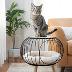 Kitty City Modern Cat Bed with Wooden Side Table, Elevated Indoor Cat Lounge Furniture with Removable Sherpa Cushion, Stylish Cat Bed for Home Décor