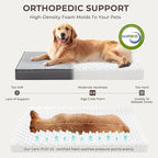 2-Pack Waterproof Dog Bed Medium Size Dogs, Plush Cushion & Orthopedic Egg-Crate Foam Mattress for Senior Dogs, Washable Dog Crate Bed with Removable Cover, Dark Grey