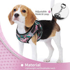 Step in Dog Harness with Leash Set, Adjustable Soft Padded and Breathable Mesh for Small Sized Dog, Reflective No Pull No Choke Cat Vest Harness, Easy Control Pet Vest, Pink L