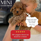 Mini Brush for Dogs and Cats - Coated Tips Massage Skin - Long Pins Remove Mats, Tangles in Long and Poodle Fur
