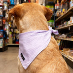 ARING PET Summer Dog Bandana-Cute Lavender Dog Bandanas, Comfortable Pet Scarf Dogs Triangle Bibs for Small to Large Girl Dogs and Cats