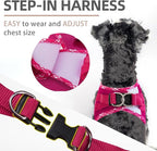 PUPTECK Dog Harness and Leash Set for Small Medium Dogs No Pull Step-in Soft Mesh Puppy Cat Vest Harnesses Reflective at Night, Fuchsia, M