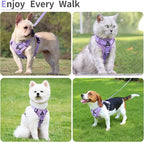 No Pull Dog Harness with Leash Set for Small Sized Dog, Reflective Adjustable No Choke Front Clip Cat Vest Harness with Breathable Mesh, Comfortable Soft Padded Pet Vest, Purple L
