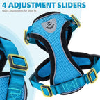 PUPTECK Cat Harness and Leash Set Escape Proof Reflective Cat Walking Harness Adjustable Soft Breathable Mesh Vest for Small Pets, Blue, XS