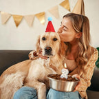 12 PCS Mini Party Hats for Stuffed Animals Birthday Felt Cone Hat with Pompom Adjustable Pets Birthday Party Hats for Assorted Animal Dog Cat Rabbit Puppies Costume Accessories Decor