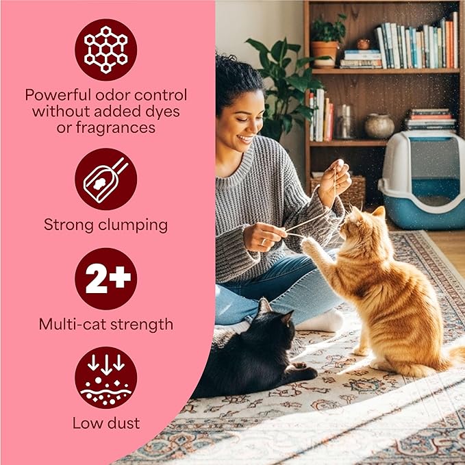 Fresh Step Simply Unscented Clumping Litter, Fresh Step Unscented Cat Litter With Activated Charcoal Technology, 14 lb. Box