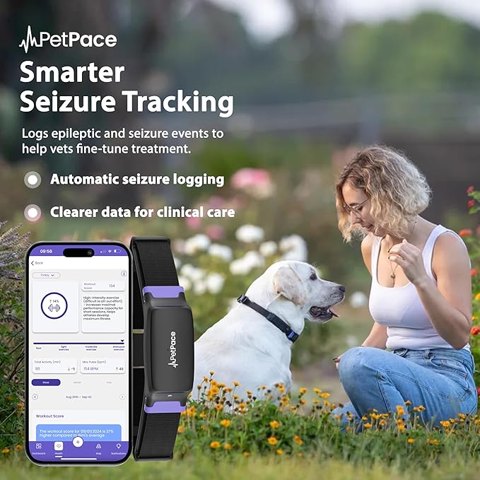 NEW Dog Health Monitor V3.0 by PetPace – AI Smart Collar with 24/7 Vital Signs, Pain & GPS Tracking, Telehealth AskaVet & Share With Your Vet, Smartwatch Sync – Subscription Required (Large)