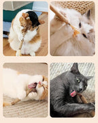 Tocirelo Silvervine Sticks Cat Toys - 6Pack Natural Cat Chew Toy Teeth Cleaning, Matatabi Dental Care Kitten Treat, Catnip Cat Teething Toys, Catmint Silver Vine Sticks for Bored Indoor Kitty