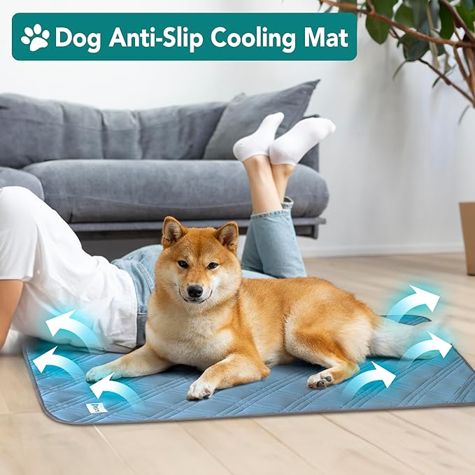 PetAmi Waterproof Cooling Mat for Dog, Premium Pet Cooling Blanket for Bed Crate, Anti Slip Indoor Dog Cool Pad for Sleeping, Q-MAX Large Sofa Couch Cover Mat for Cat, Light Blue, 60x80