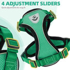 PUPTECK Cat Harness and Leash Set Escape Proof Reflective Cat Walking Harness Adjustable Soft Breathable Mesh Vest for Small Pets, Dark Green, M