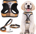 PUPTECK Adjustable Dog Harness Collar and Leash Set Step in No Pull Pet Harness for Small Medium Dogs Puppy and Cats Outdoor Walking Running, Soft Mesh Padded Reflective Vest Harnesses, Orange S
