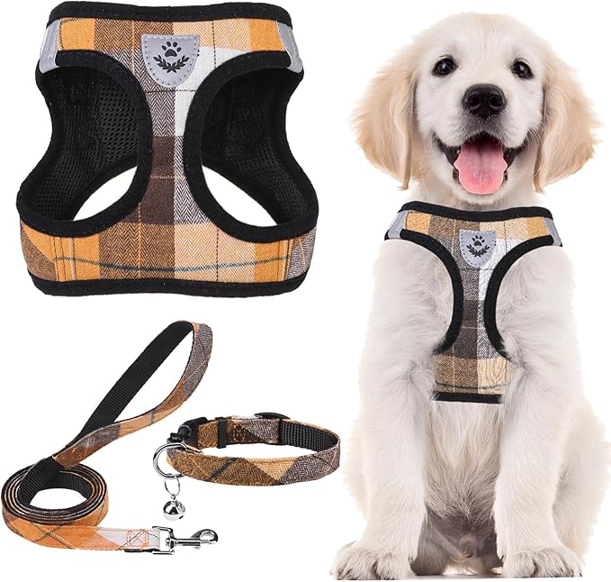PUPTECK Adjustable Dog Harness Collar and Leash Set Step in No Pull Pet Harness for Small Medium Dogs Puppy and Cats Outdoor Walking Running, Soft Mesh Padded Reflective Vest Harnesses, Orange S