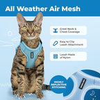 Voyager Escape-Proof Step-in Lock Cat Harness & 5ft Neoprene-Handle Leash Set All-Weather Mesh with Reflective Stitching for Small to Large Cats by Best Pet Supplies, Baby Blue (327), XS