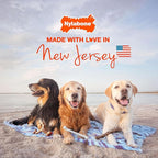 Nylabone Original & Textured Bone Power Chew Toy for Dogs, Durable & Tough Dog Toys for Aggressive Chewers, Basted Blast Bacon and Steak Flavor, Small Dogs - Up to 25 lbs, 2 Pack