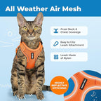 Voyager Escape-Proof Step-in Lock Cat Harness & 5ft Neoprene-Handle Leash Set All-Weather Mesh with Reflective Stitching for Small to Large Cats by Best Pet Supplies, Orange (327), XXS