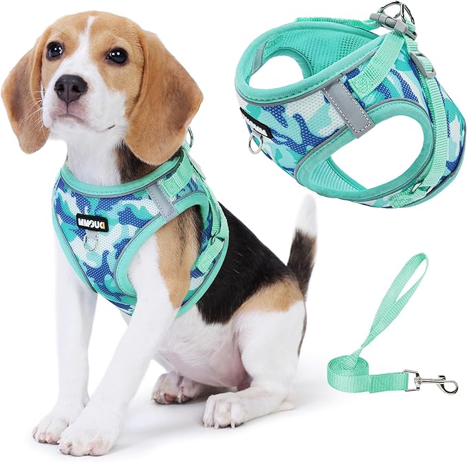 Step in Dog Harness with Leash Set, Adjustable Soft Padded and Breathable Mesh for Medium Sized Dog, Reflective No Pull No Choke Cat Vest Harness, Easy Control Pet Vest, Teal XL